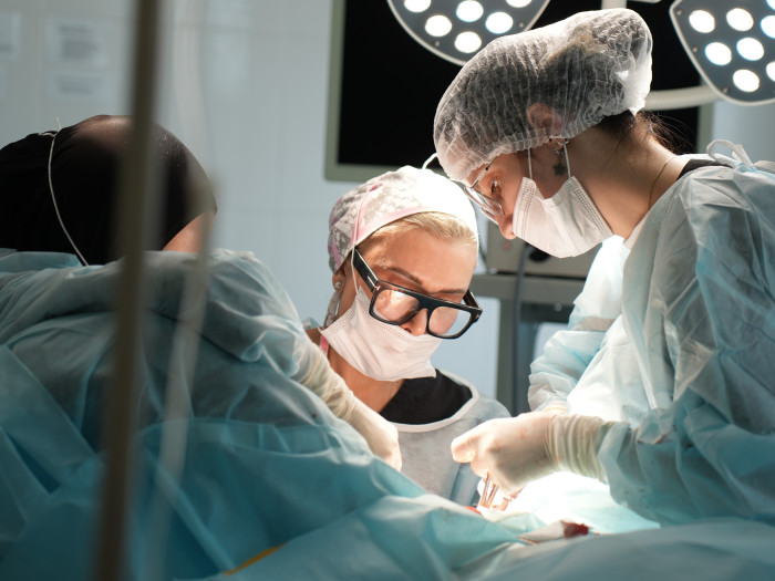 Видео работы Тамазаевой Хавы Насрулаевны